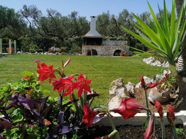 Villa Sotiris Κίσσαμος Εξωτερικό φωτογραφία